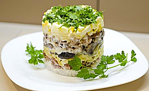 Salada de frango com cogumelos em camadas, uma receita simples e passo a passo para cozinhar com uma foto