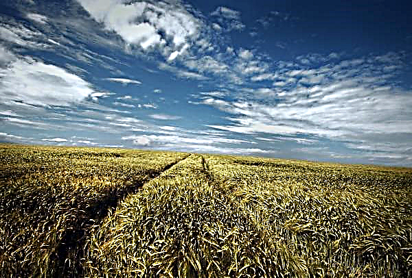 EU har til hensigt at lindre landbrugere, der er ramt af tørke