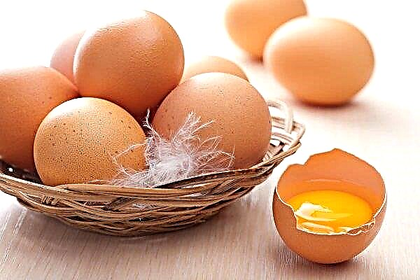 Виробництво яєць в Україні пішло в ріст з початку 2019 року