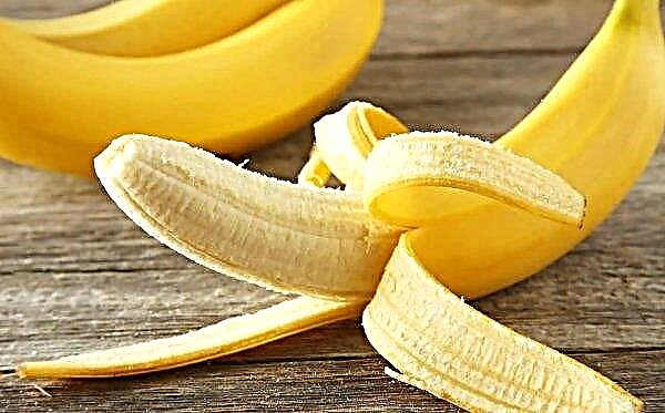 Ukraine continues to increase banana imports