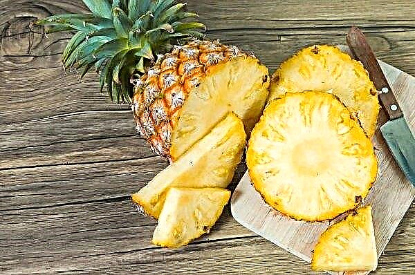 Beste ananaskoeler gemaakt van ananasafval