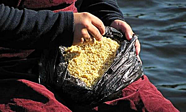 Momeală pentru cremă: rețete de gătit pentru a face singur, compoziția alimentelor complementare pentru pescuit în timpul