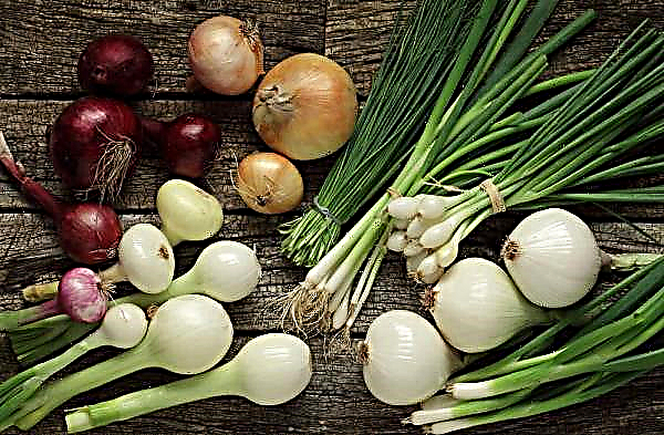 Pakistan bans onion exports until May 30