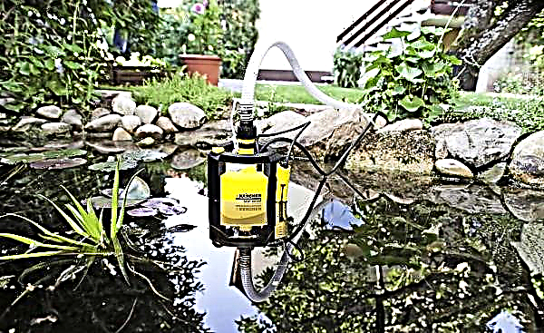 Pompa kolam: cara memasang pompa di kolam hias, mana yang lebih baik - permukaan, selam atau baterai