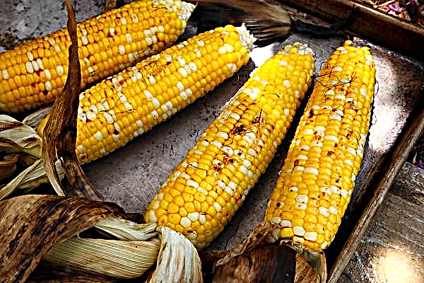El maíz único apareció en la dieta georgiana