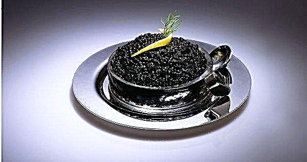 La Russie fait des expériences sur le caviar noir