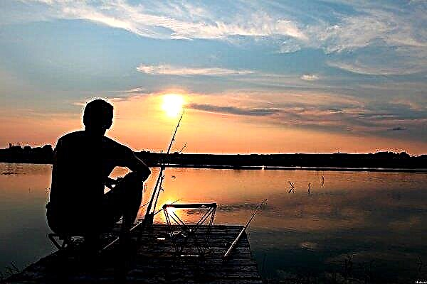 În regiunea Kirovograd șomerilor vor fi învățați la piscicultură