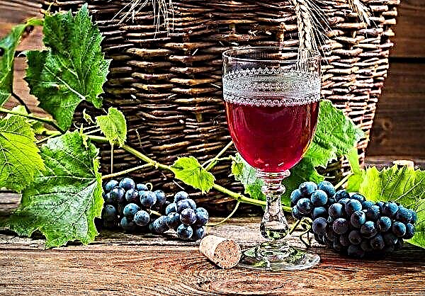 Južna Afrika ima najnižjo letino vinske grozdja v 14 letih