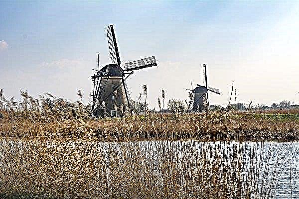 Niederländische Bauern verlassen das Land auf der Suche nach einem besseren Leben