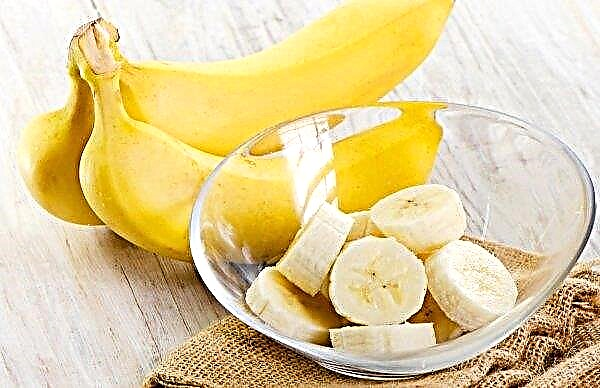 אקוודור ייצאה נפח שיא של בננות