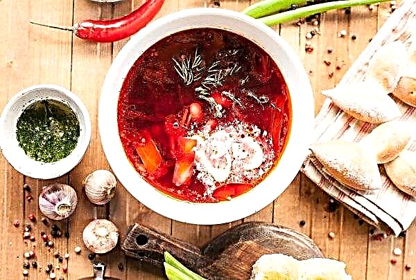 Russian borsch has become significantly more expensive