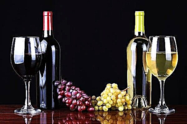 بالنسبة لصانعي النبيذ الصغار في أوكرانيا ، يتم تبسيط إجراءات الحصول على ترخيص