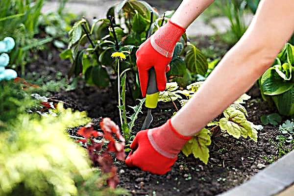 Cómo deshacerse de la fatiga después de la jardinería.
