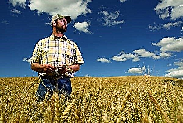 Landwirtschaftliche Probleme, Stress und Depressionen: Traurige Gefährten amerikanischer Landwirte
