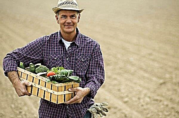 Ukraine kan være uden landbrugere