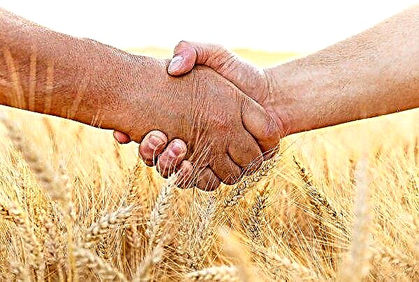 JAV ir Australija abejoja nauja Indijos žemės ūkio paramos schema
