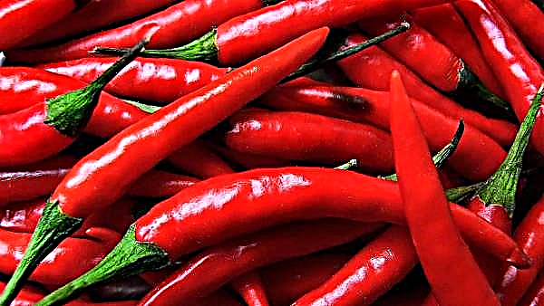 W Hiszpanii stworzono opakowanie, które znacznie wydłuża okres przydatności pomidorów i papryki
