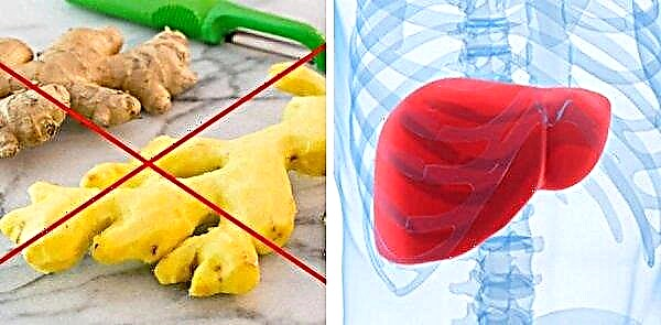 Ginger for the pancreas and liver, with pancreatitis and cholecystitis: can be used or not, recipes