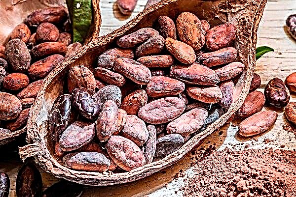 Côte d'Ivoire and Ghana offered a minimum price for cocoa