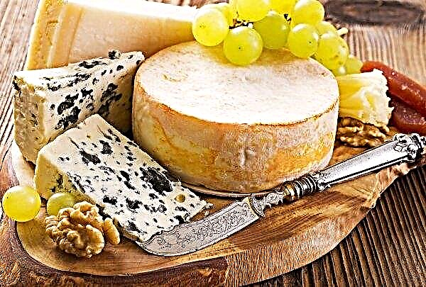نظم الطلاب الأوكرانيون تعاونية إنتاج الجبن