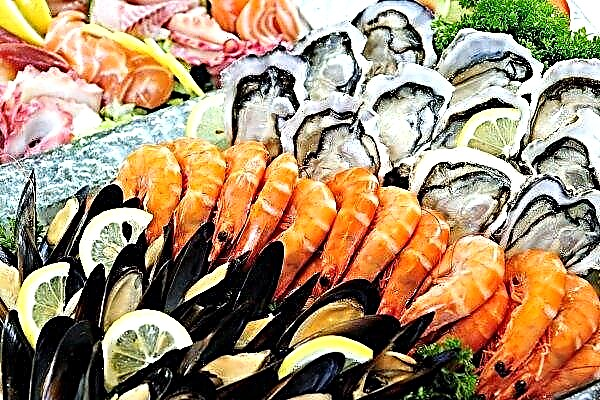 Canada will showcase world-class fish and seafood