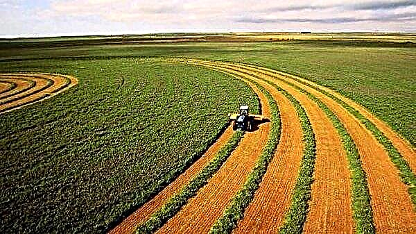 USA oznamujú Národný deň poľnohospodárstva