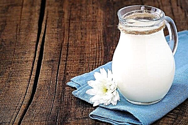 Ecosem-Agrar erhöht das Produktionsvolumen und bringt Bio-Milch auf den Markt