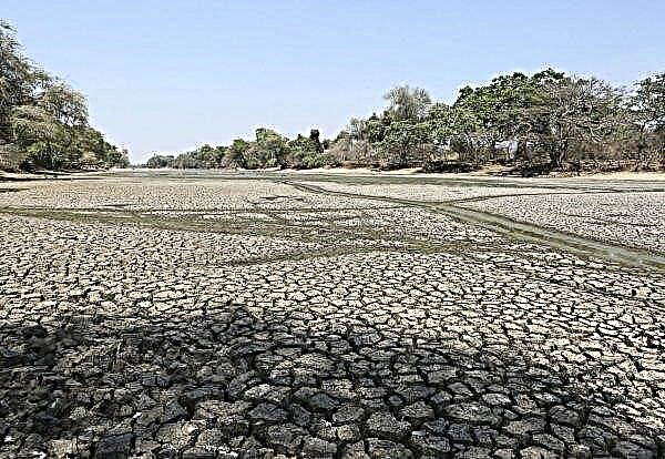População do Zimbábue ameaçada pela fome: o país está passando pela seca mais severa