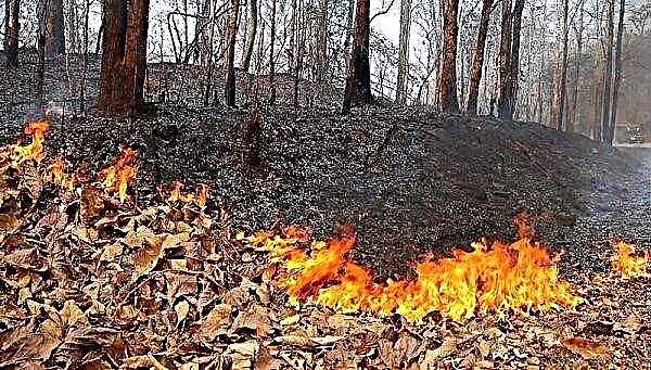 Mobile brigades will fight with dry grass incendiaries in Vinnitsa