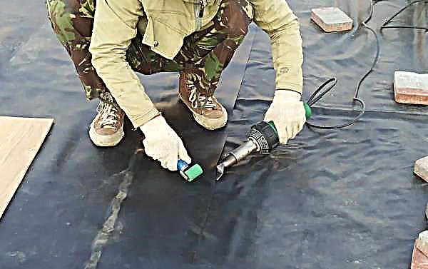 Film étang: PVC décoratif, l'épaisseur de la membrane en caoutchouc, quel matériau choisir au fond de l'étang artificiel, que coller