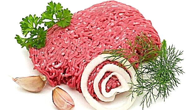 „Pilnas įdaras“: Rusijos mažmeninės prekybos vietose ieškoma žemos kokybės mėsos