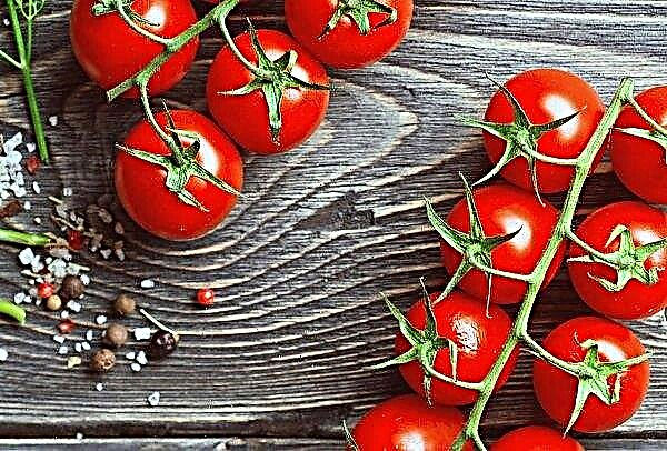 Les tomates continuent de devenir moins chères sur les marchés ukrainiens