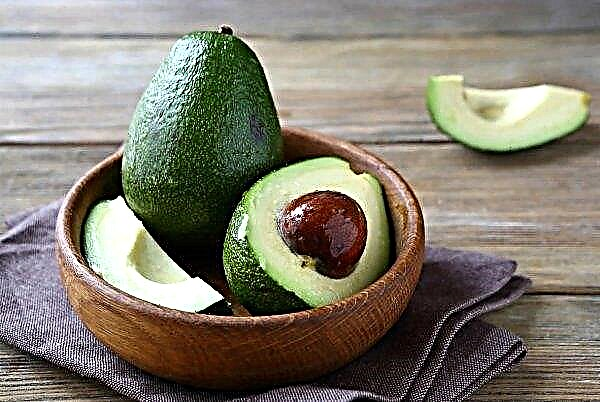 Seedless avocados hit the shelves in the UK