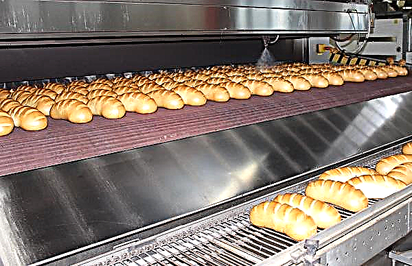 El sector medio búlgaro sigue siendo enorme en la panadería