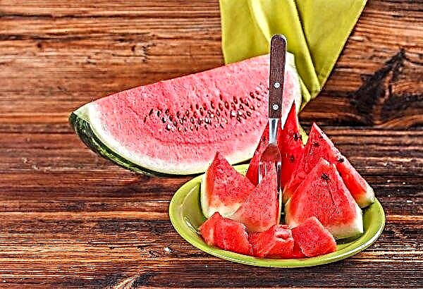 Uzbek Products Opened Watermelon Season in Western Ukraine