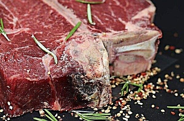 More than forty tons of low-quality meat seized from the Russian market
