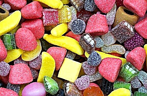 Netoli Maskvos bus atidaryta vaisių saldainių ir marmelado perdirbimo įmonė
