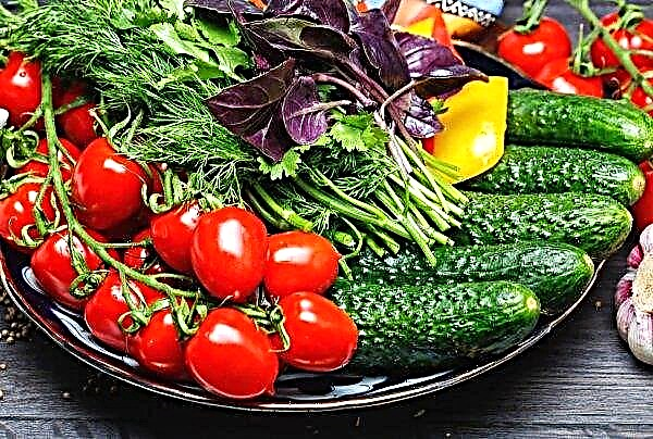 Tomaten steigen im Preis und Gurken werden in der Ukraine billiger