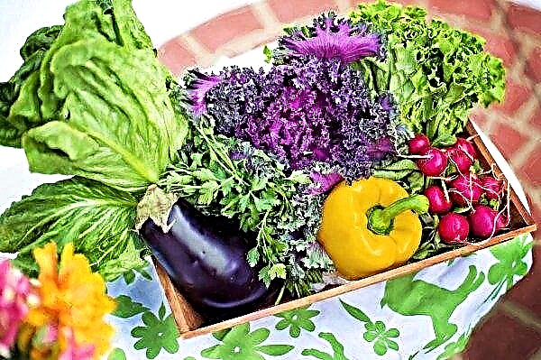 Piața produselor semi-organice se dezvoltă în Lituania