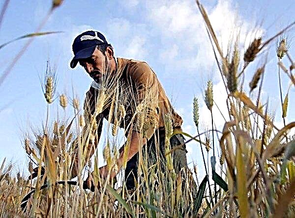 Förra året var den minsta lönen för ryska bönder