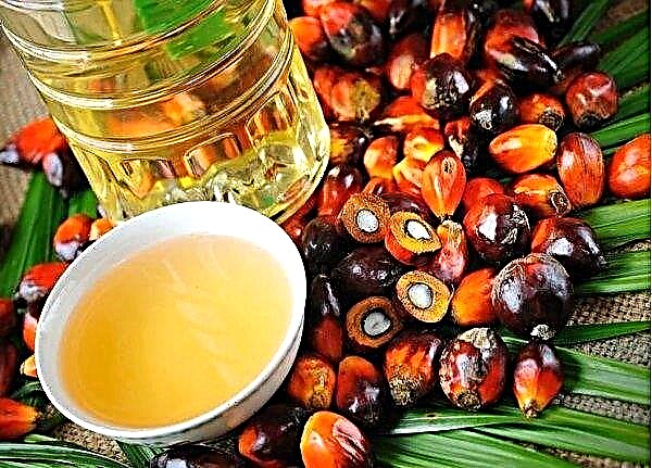 Indonesia dissatisfied with EC decision to abandon palm oil