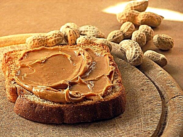 Students from Lviv set up a leading enterprise for the production of peanut butter