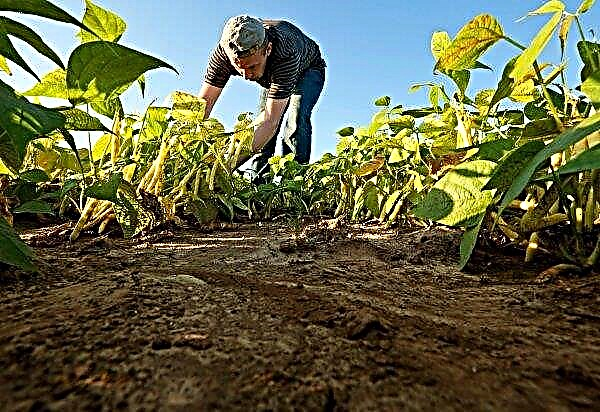 Nizozemska je napovedala „spremembo paradigme“ o uporabi pesticidov