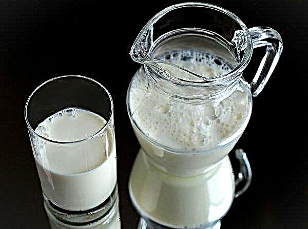 Υπάρχουν περισσότερα γάλα Ryazan στη ρωσική αγορά