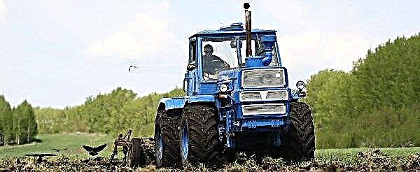 Em Mordovia, lavradores russos colidirão com talentos