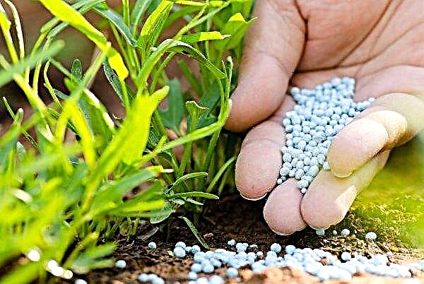 Los agricultores ucranianos sintieron un déficit de fertilizantes minerales.