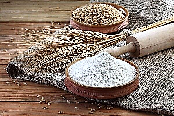 Turkmenistan lacks quality flour