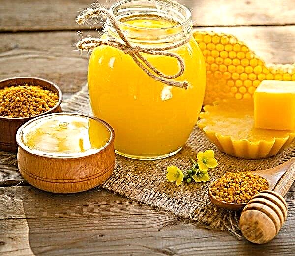 Concurso nacional de miel ha terminado en Ucrania