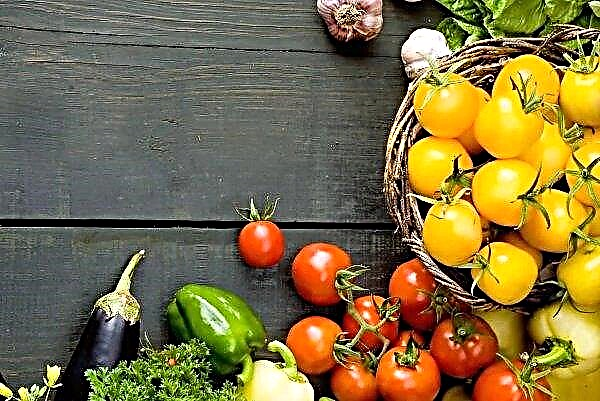 Ukraine and the European Union discussed cooperation in the field of organic production
