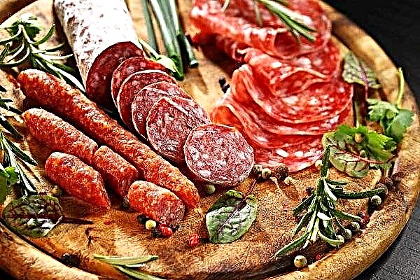 Tukang daging Belarusia ingin "mempromosikan" E. coli di pasar Rusia